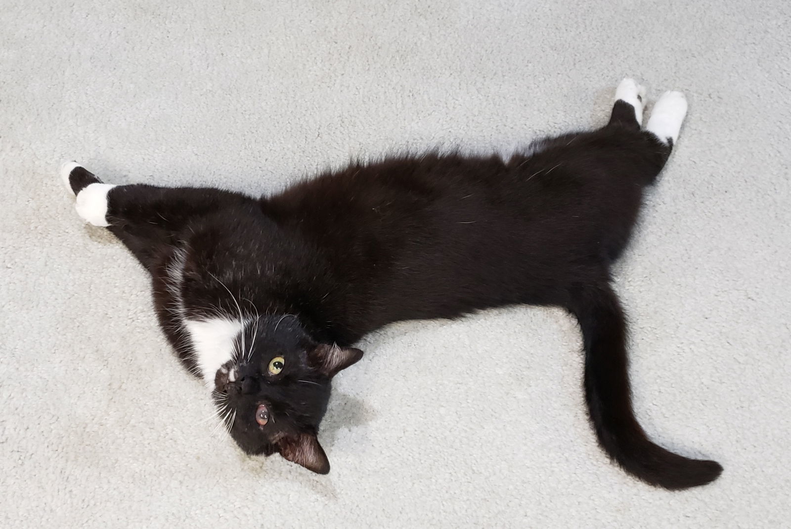 Sinatra