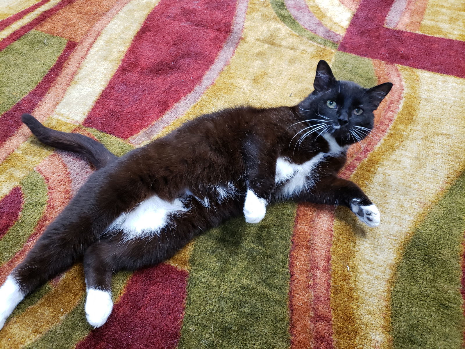 Sinatra