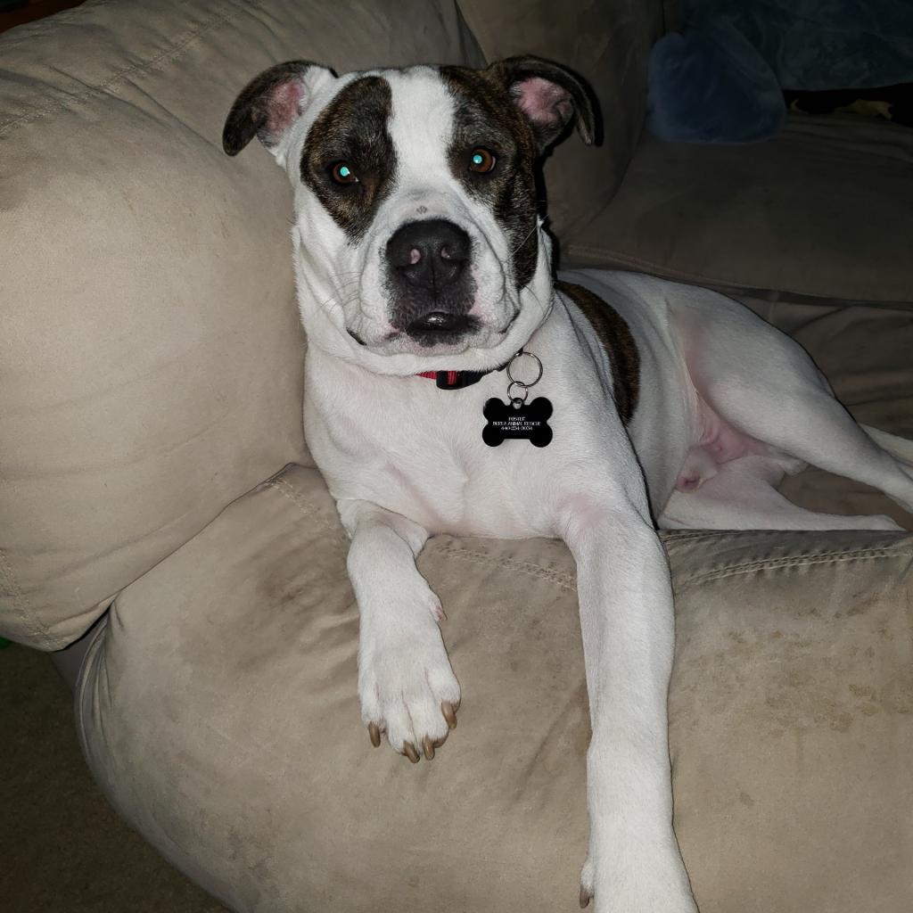 Petey