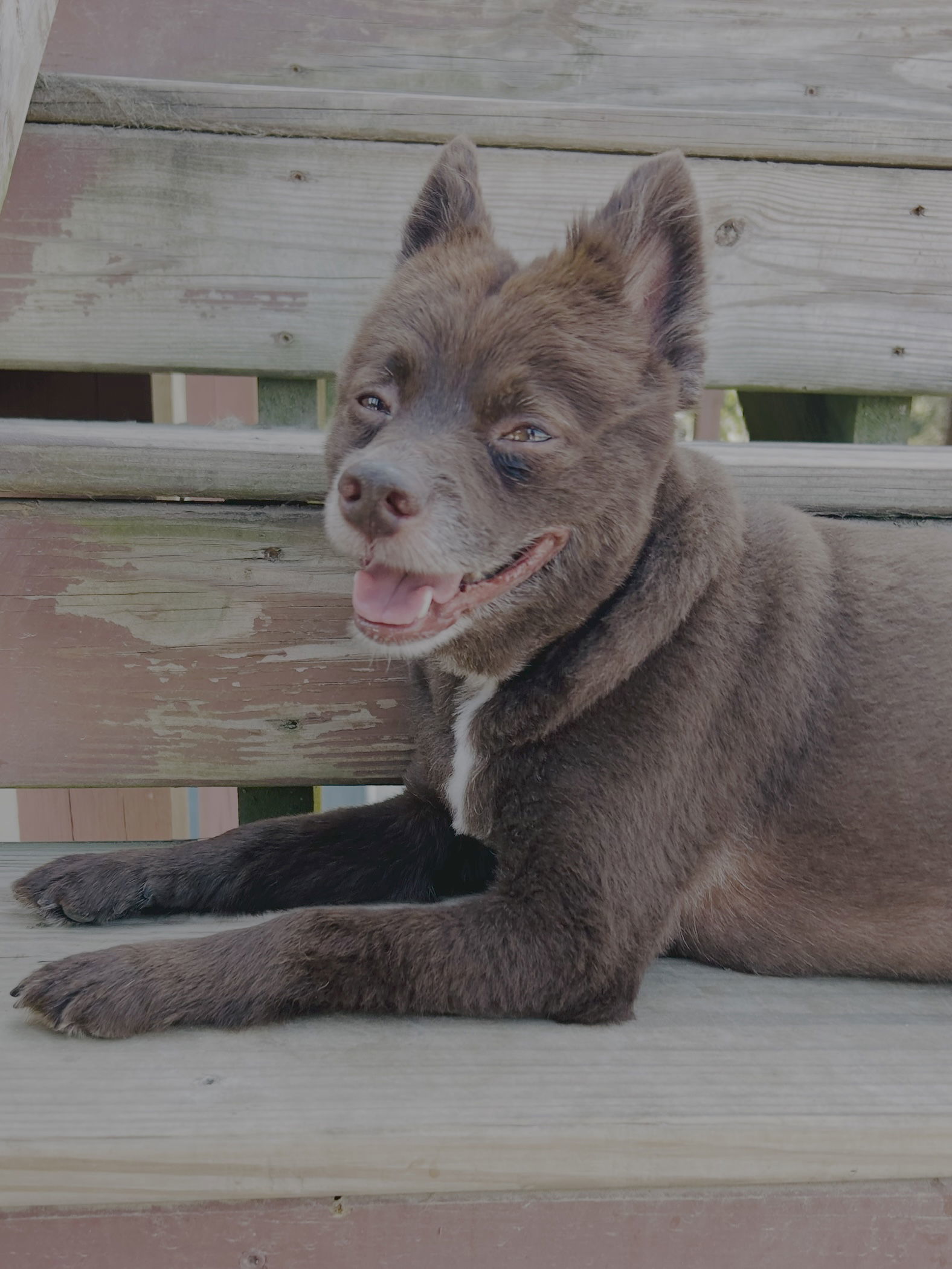 CoCo