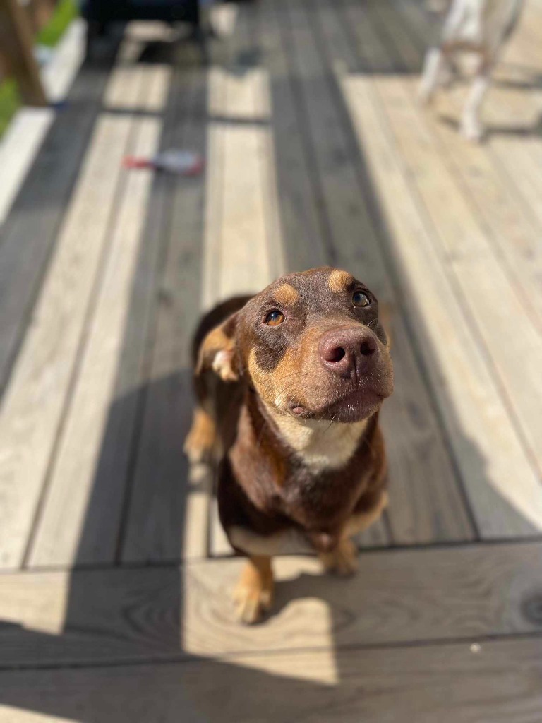 Cheech