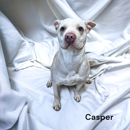 Casper