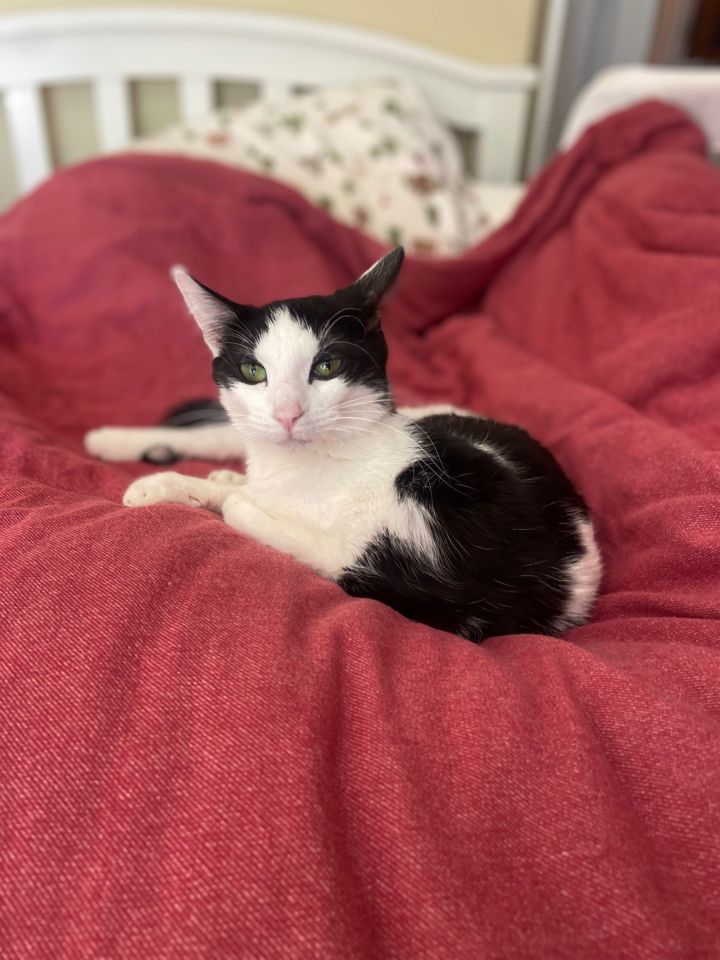 Mellow Melvin 2