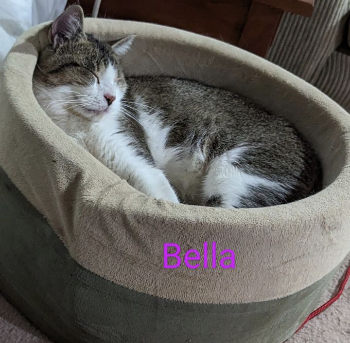 Bella Bella 2