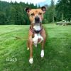 Bash photo 2