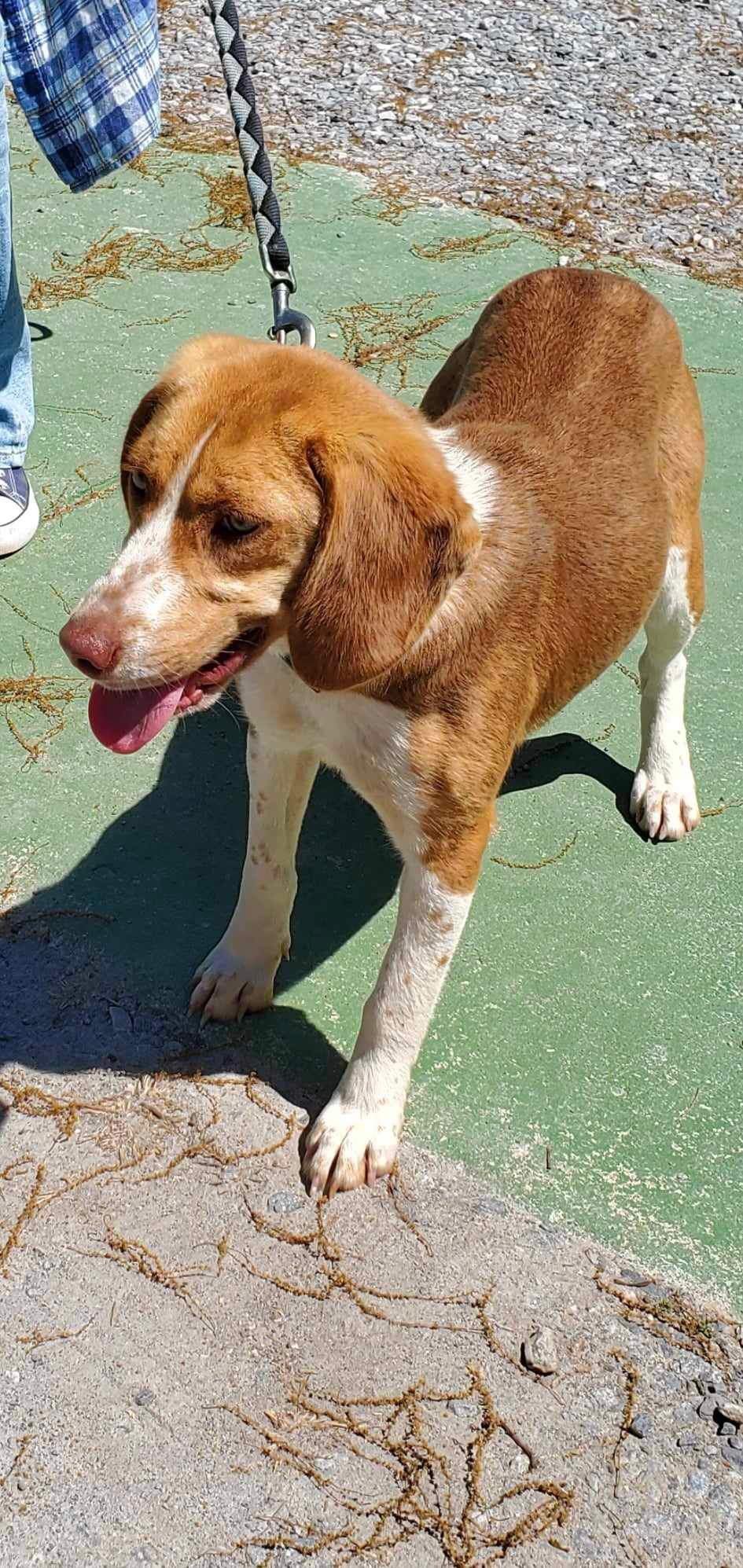 Sunny - At shelter available 4/27