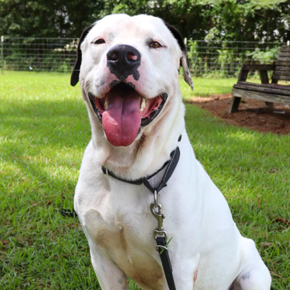 Tyson