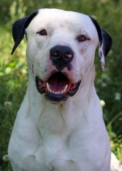 Tyson
