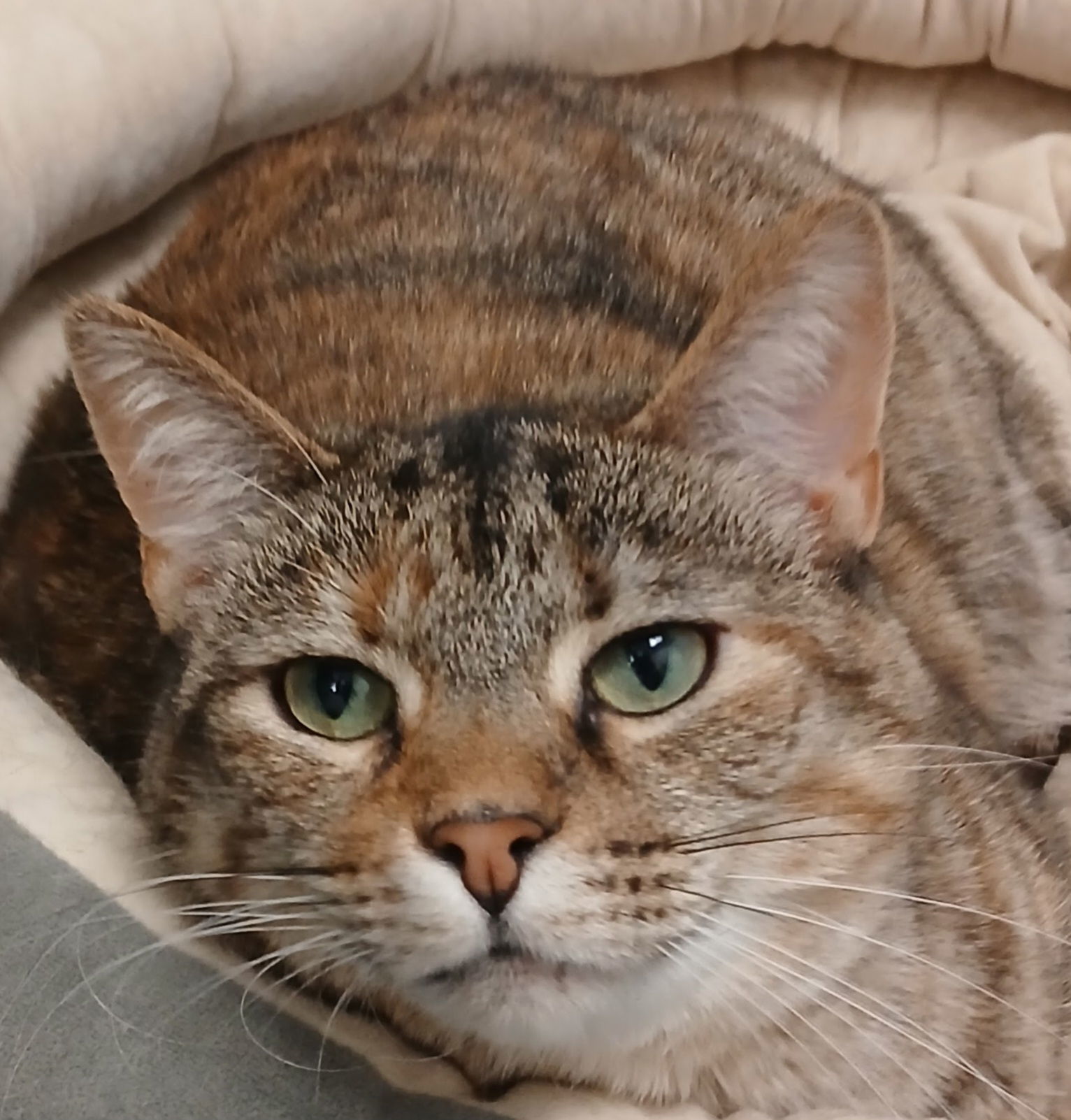 Pretty girl