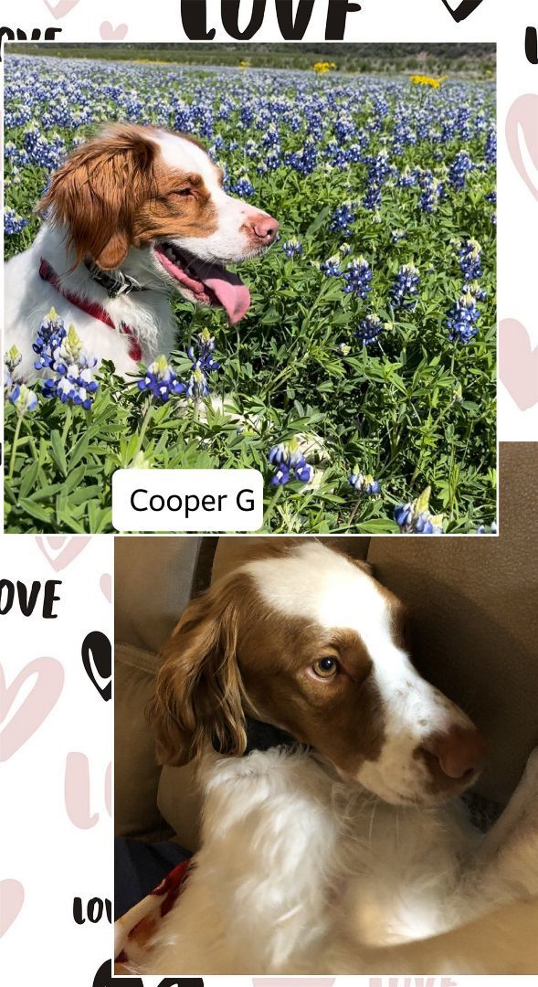 TX/Cooper G