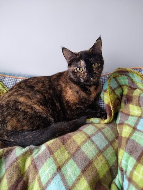 Elsie