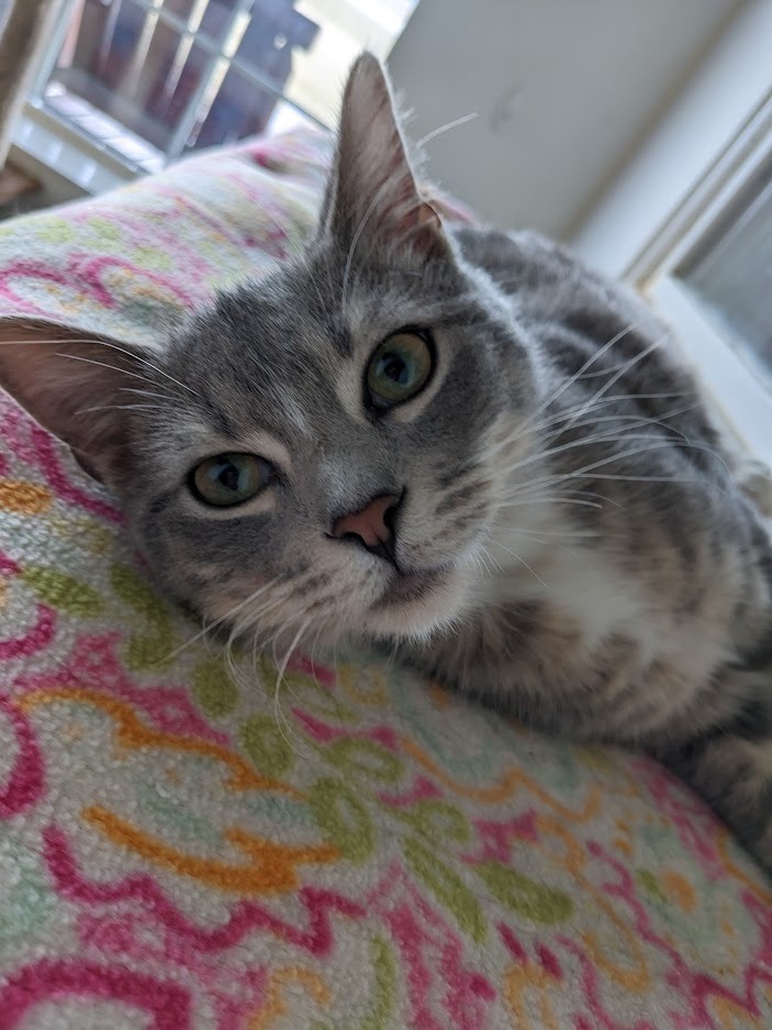 Benjamin (Benny)