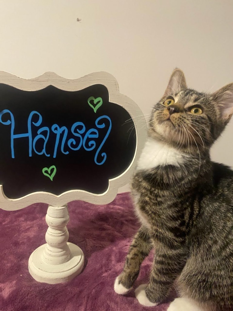 Hansel