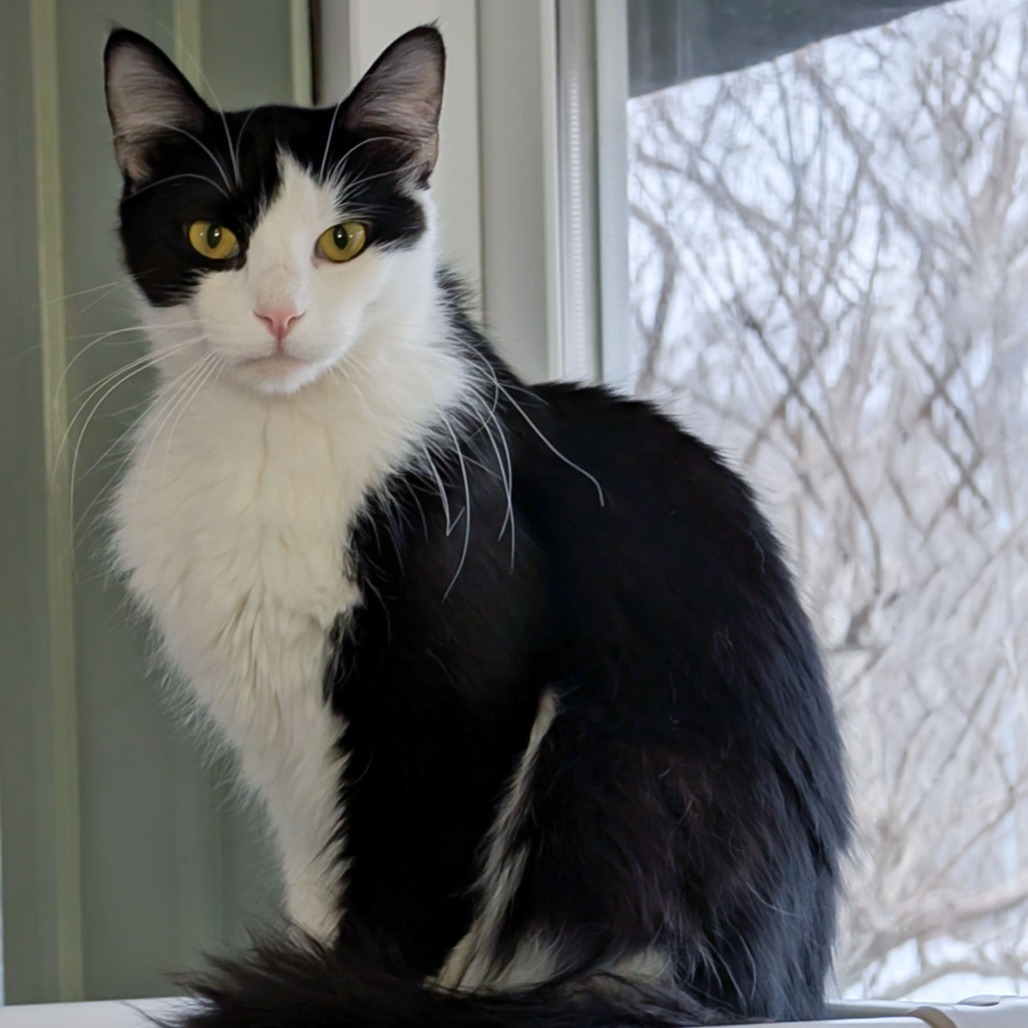 Pepper