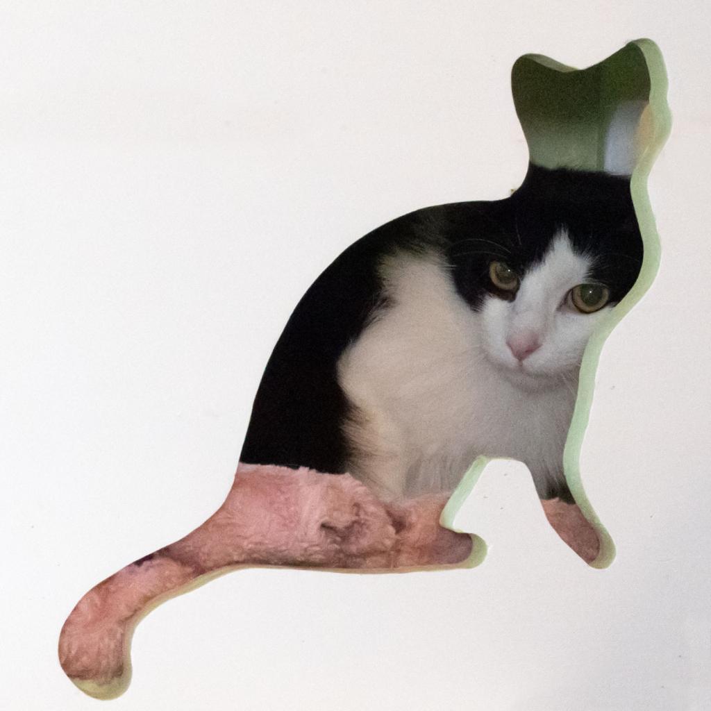 Pepper