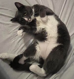 Bonnie
