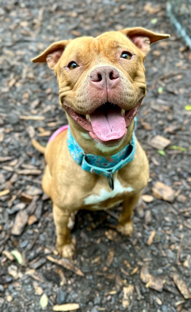 Fiona