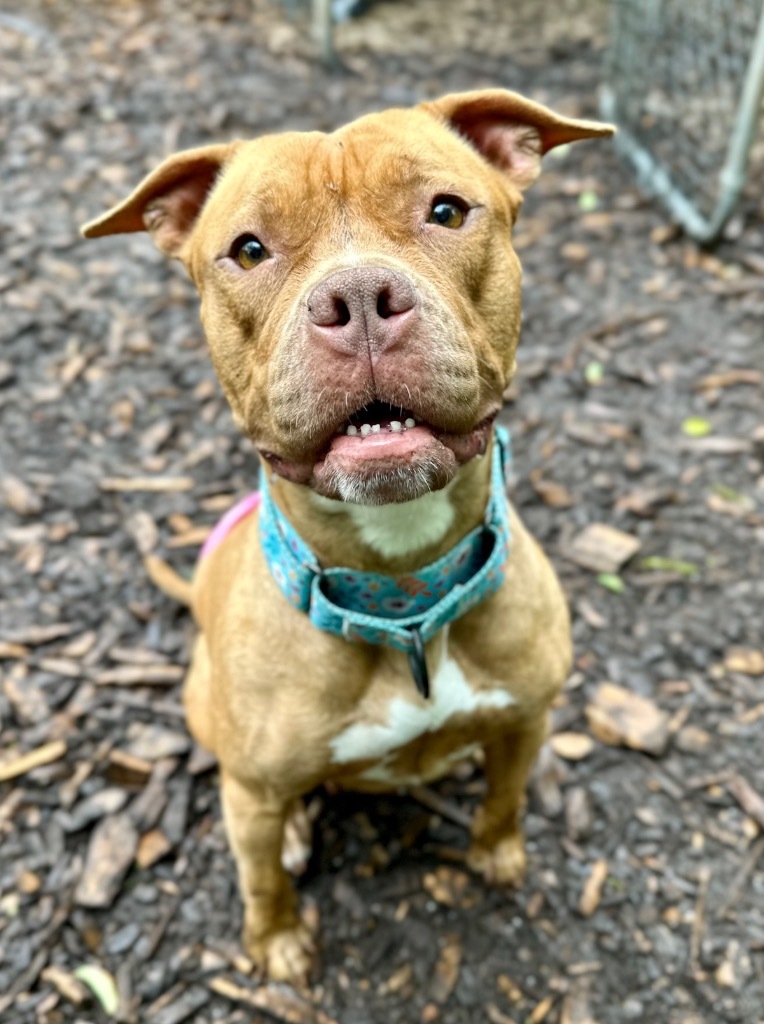 Fiona