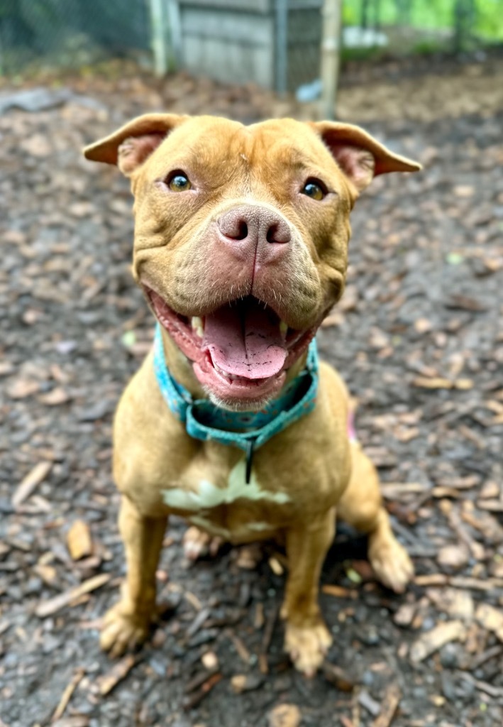 Fiona