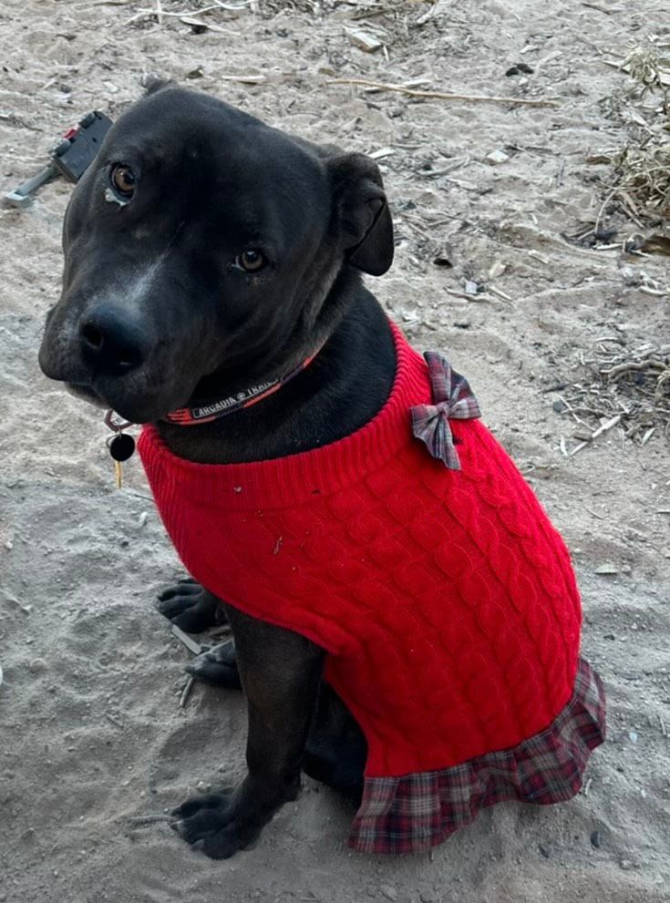 Kaia
