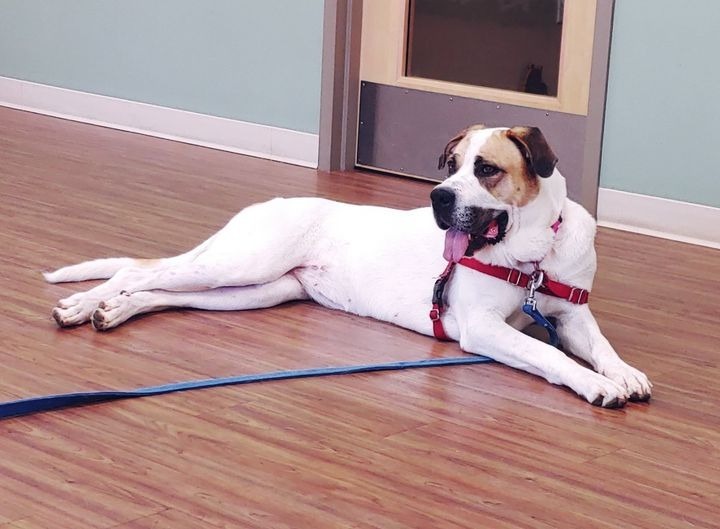 Ruby *Sponsored Adoption