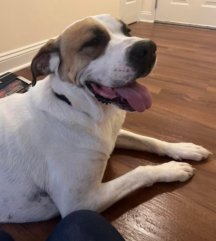 Ruby *Sponsored Adoption