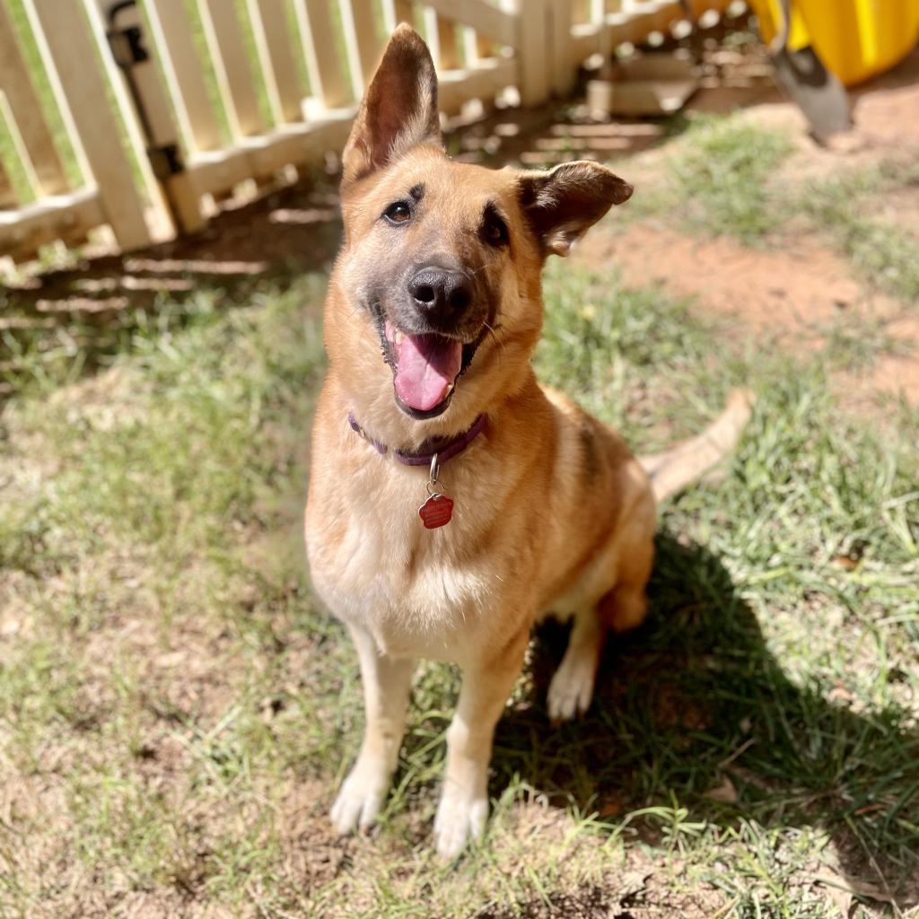 Sammie