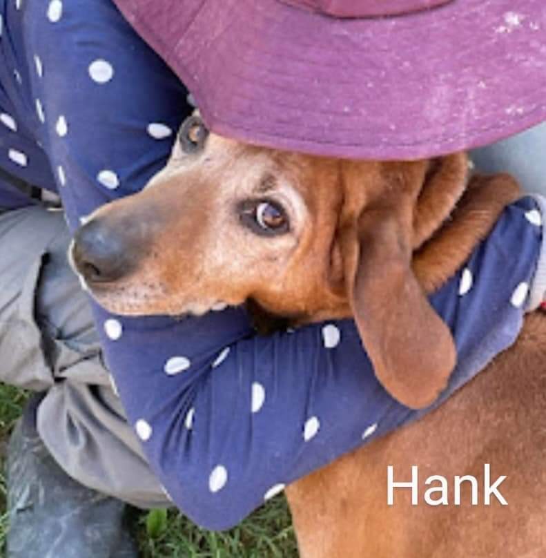 Hank