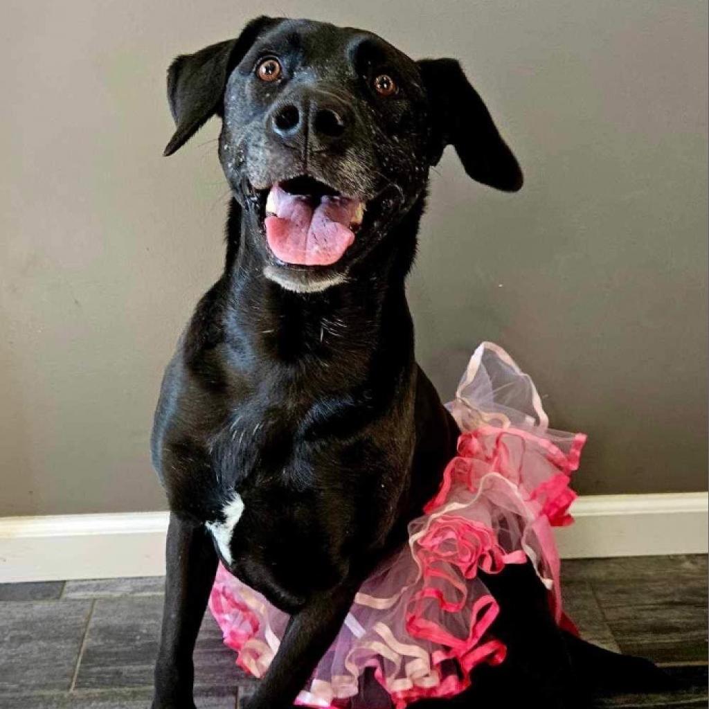 Taffy