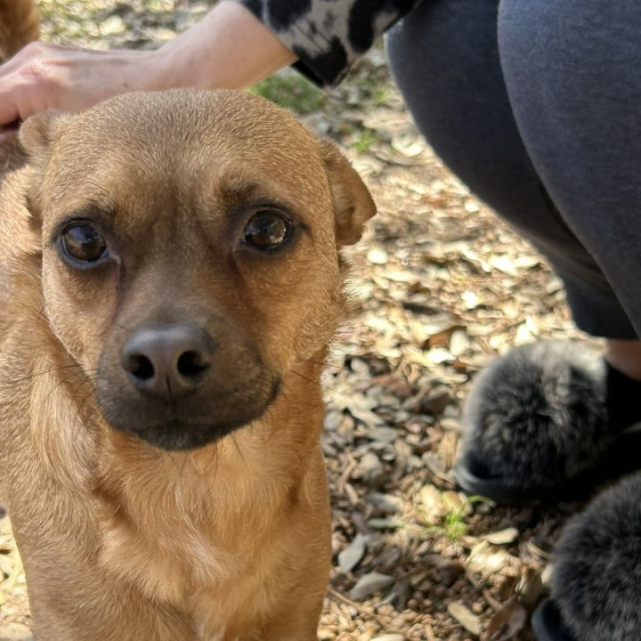 Sweet Boy 1