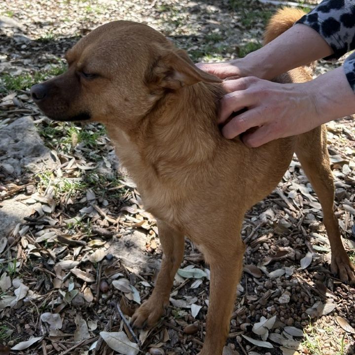 Sweet Boy 5