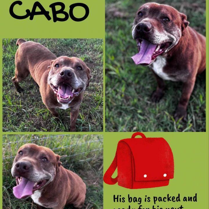 Cabo 4