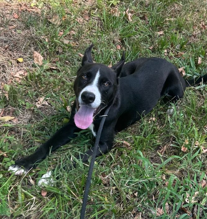 Jack