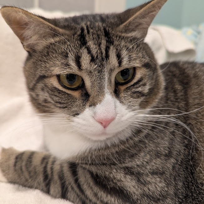 Doug (Paired with Gary)