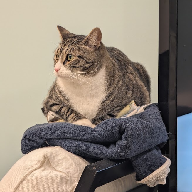 Doug (Paired with Gary)
