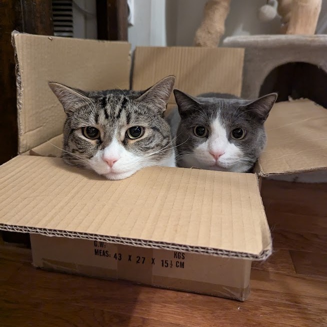 Doug (Paired with Gary)