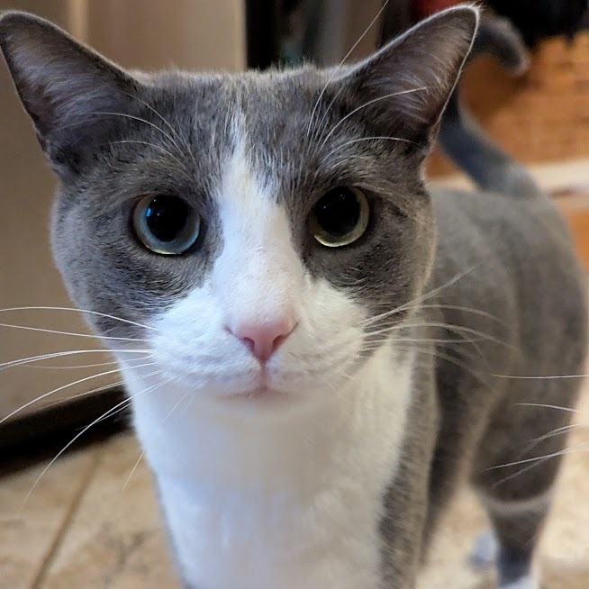 Gary (Paired with Doug)