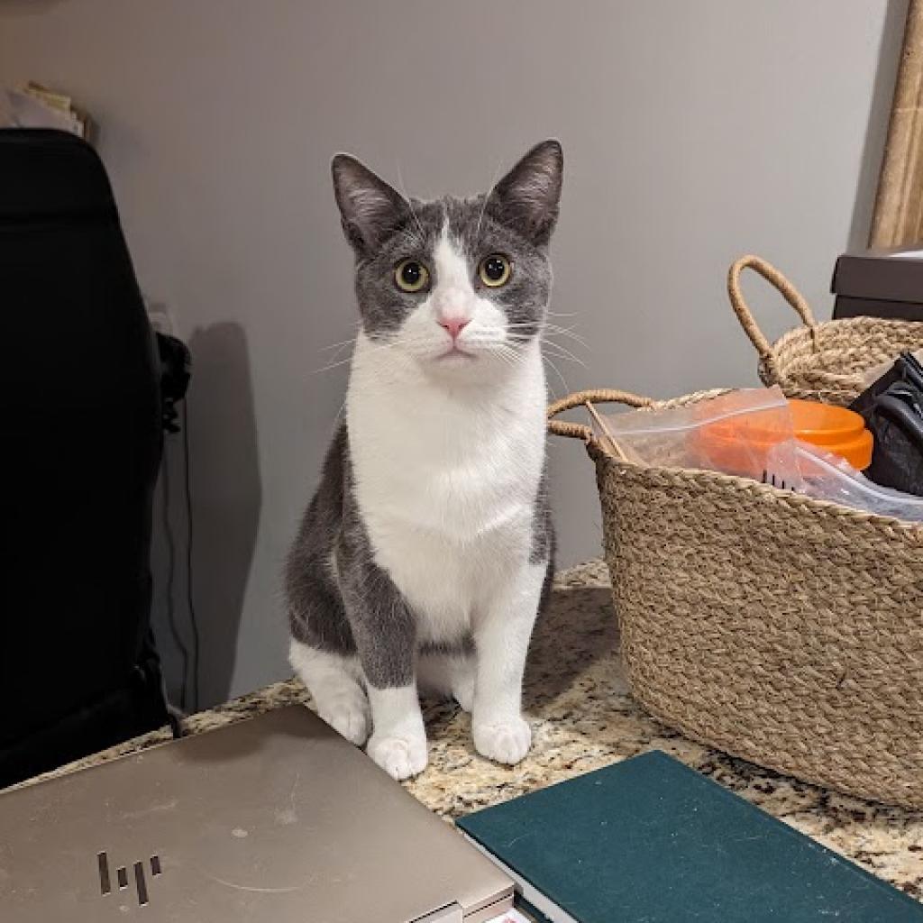 Gary (Paired with Doug)