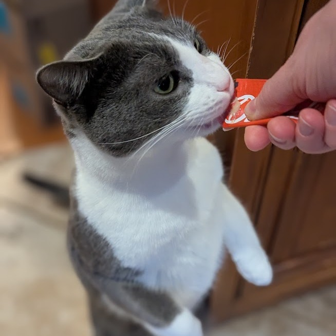 Gary (Paired with Doug)