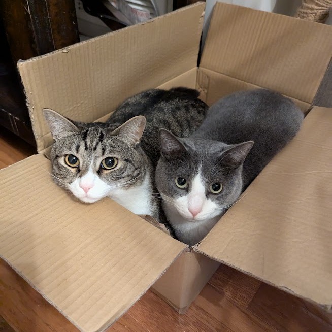 Gary (Paired with Doug)