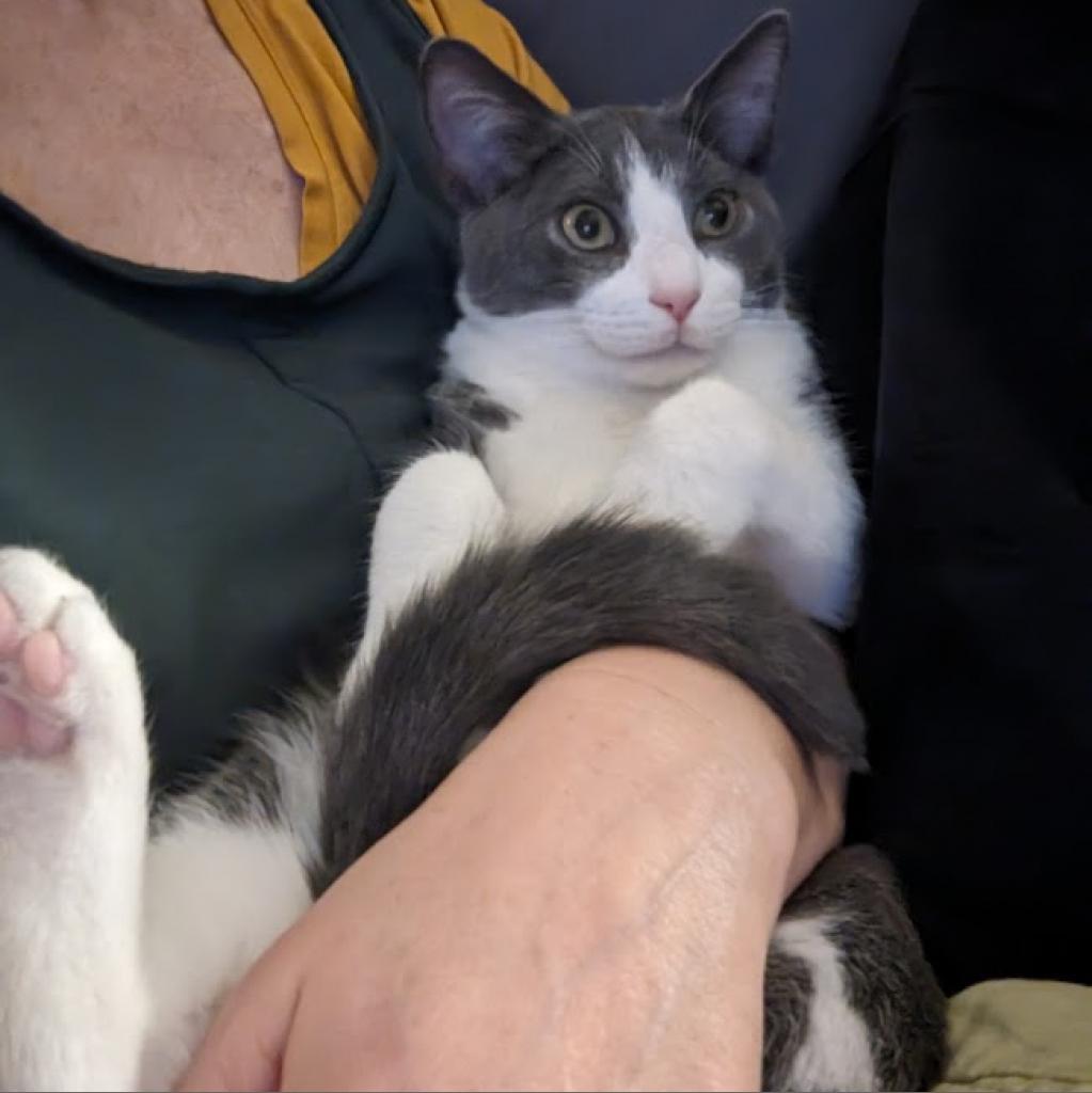 Gary (Paired with Doug)