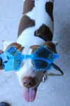 Peaches photo 5
