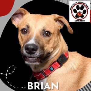 BRIAN