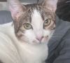 Sasha photo 1