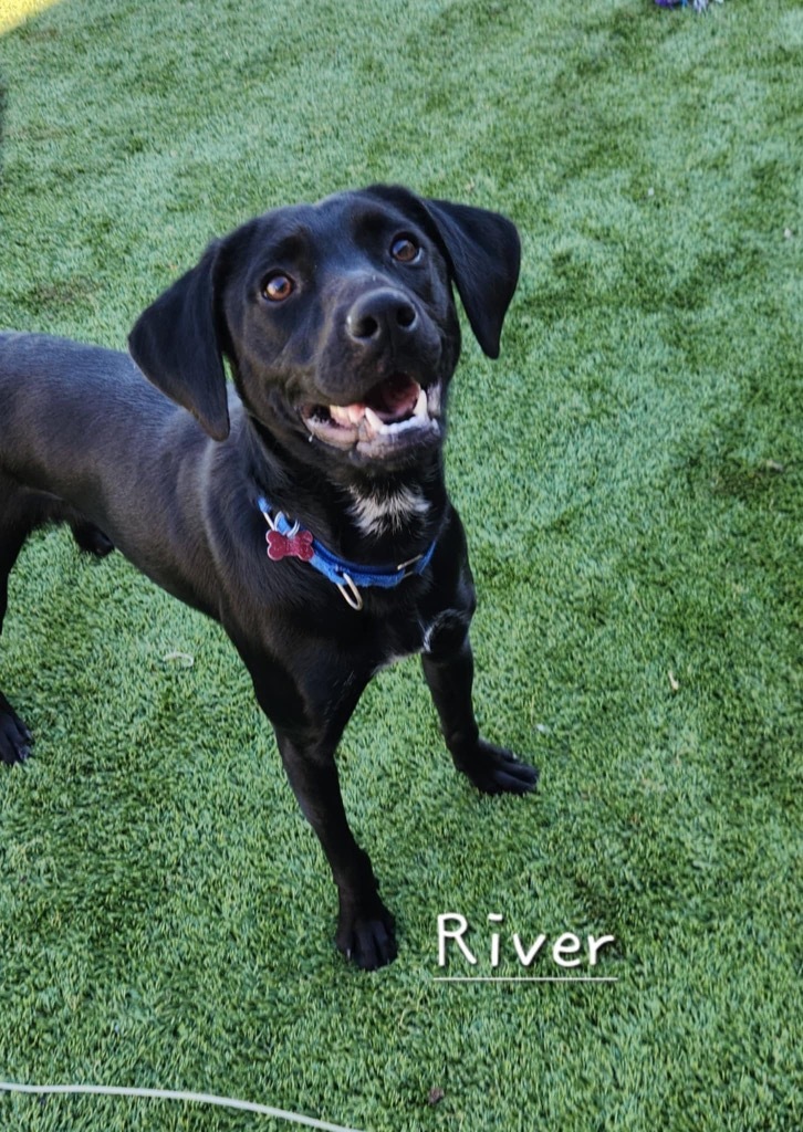 River