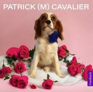 Patrick Cavalier King Charles Spaniel Dog