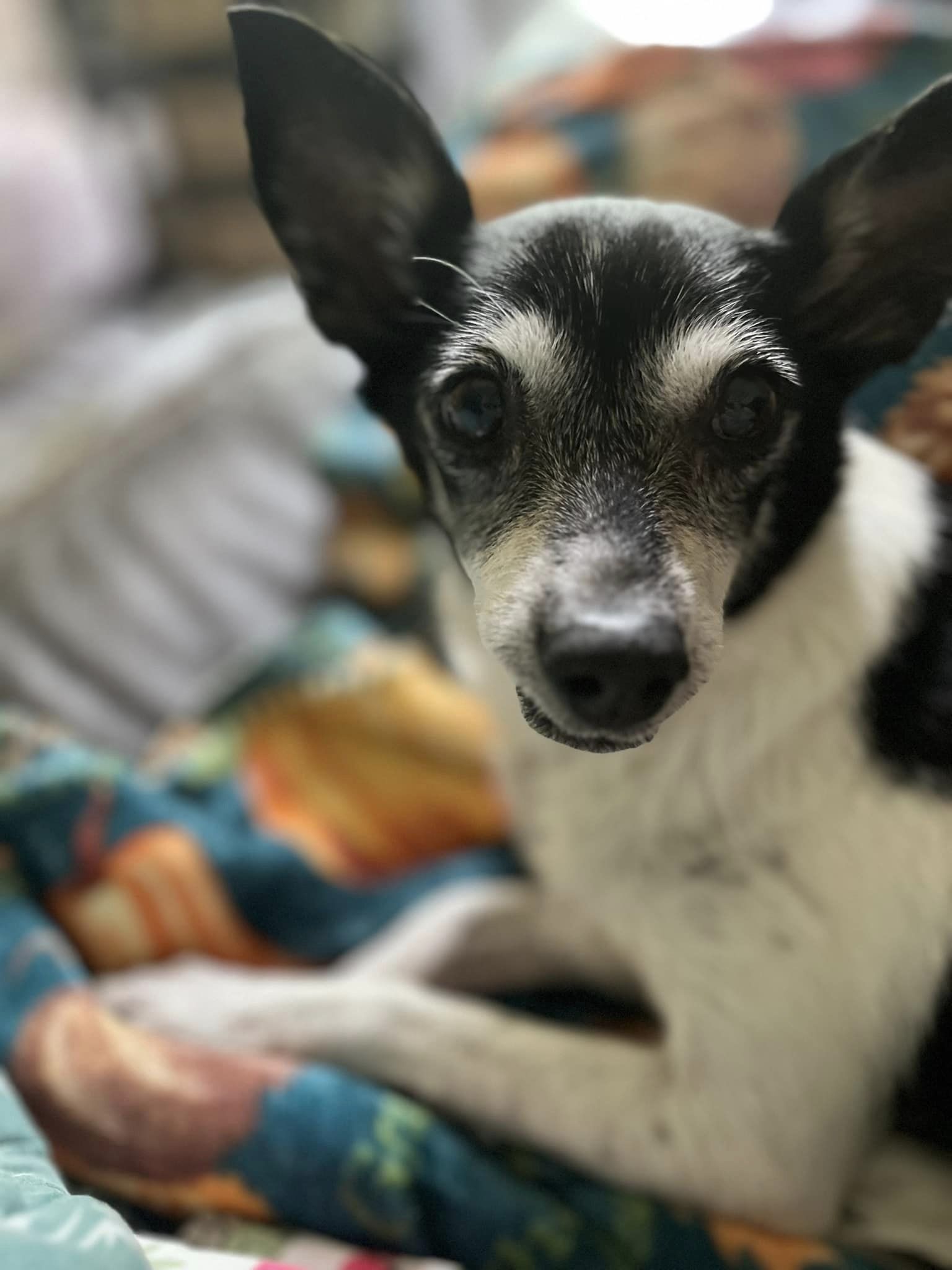 Edith