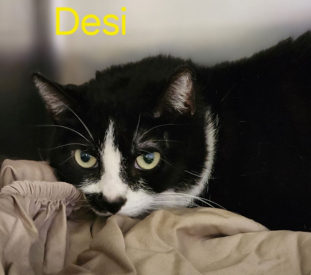 Desi