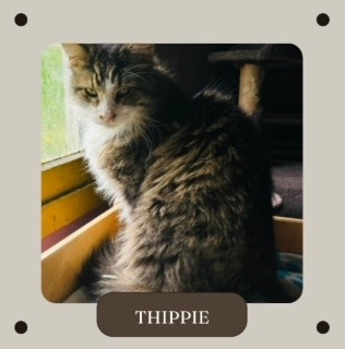 Thippie