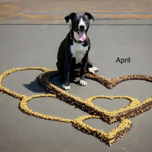 April